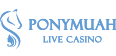 logo_PM-live